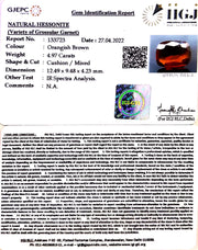 4.97/CT Natural Govt. Lab Certified Ceylonese Gomed-1221